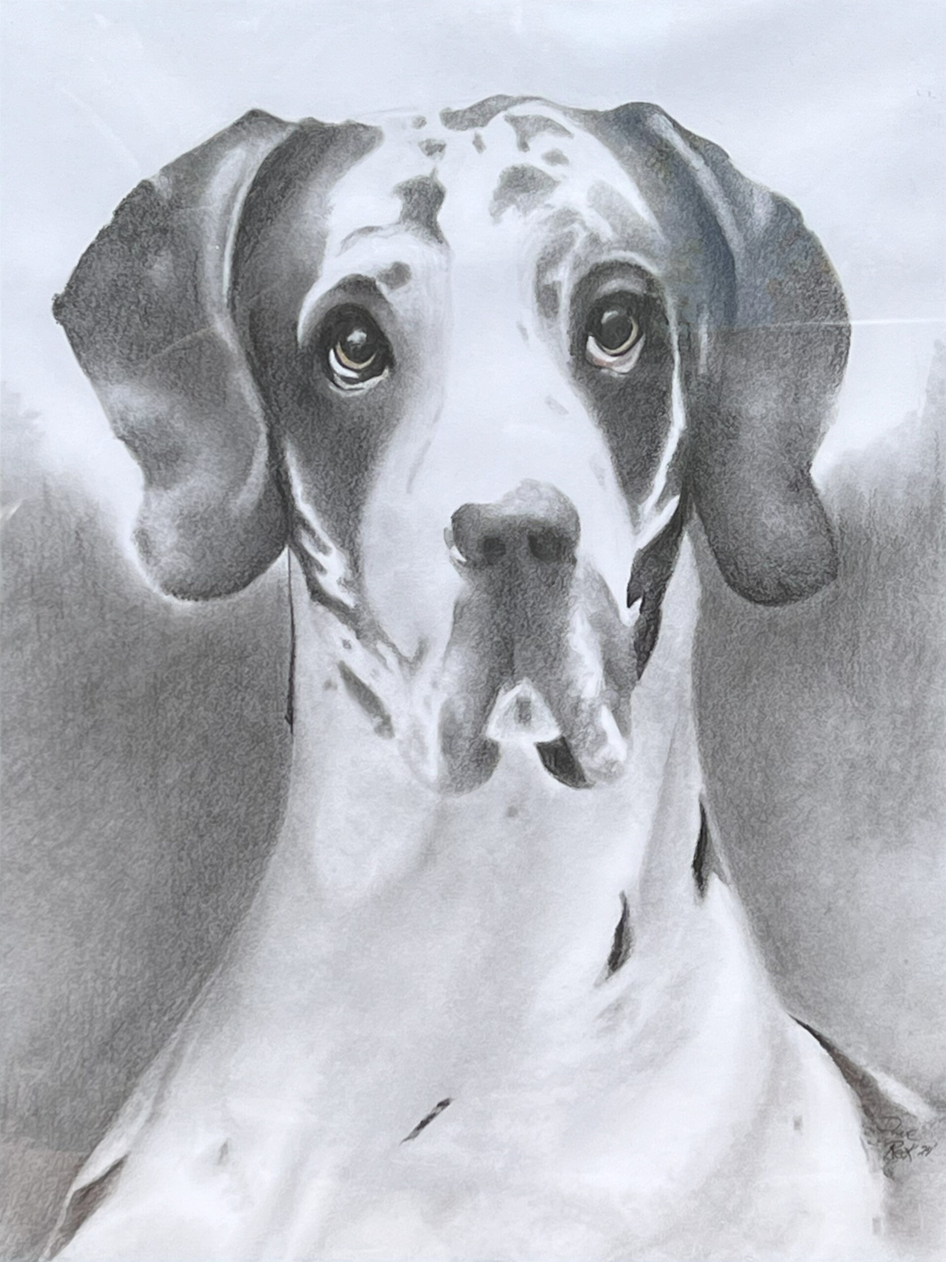 Arlo