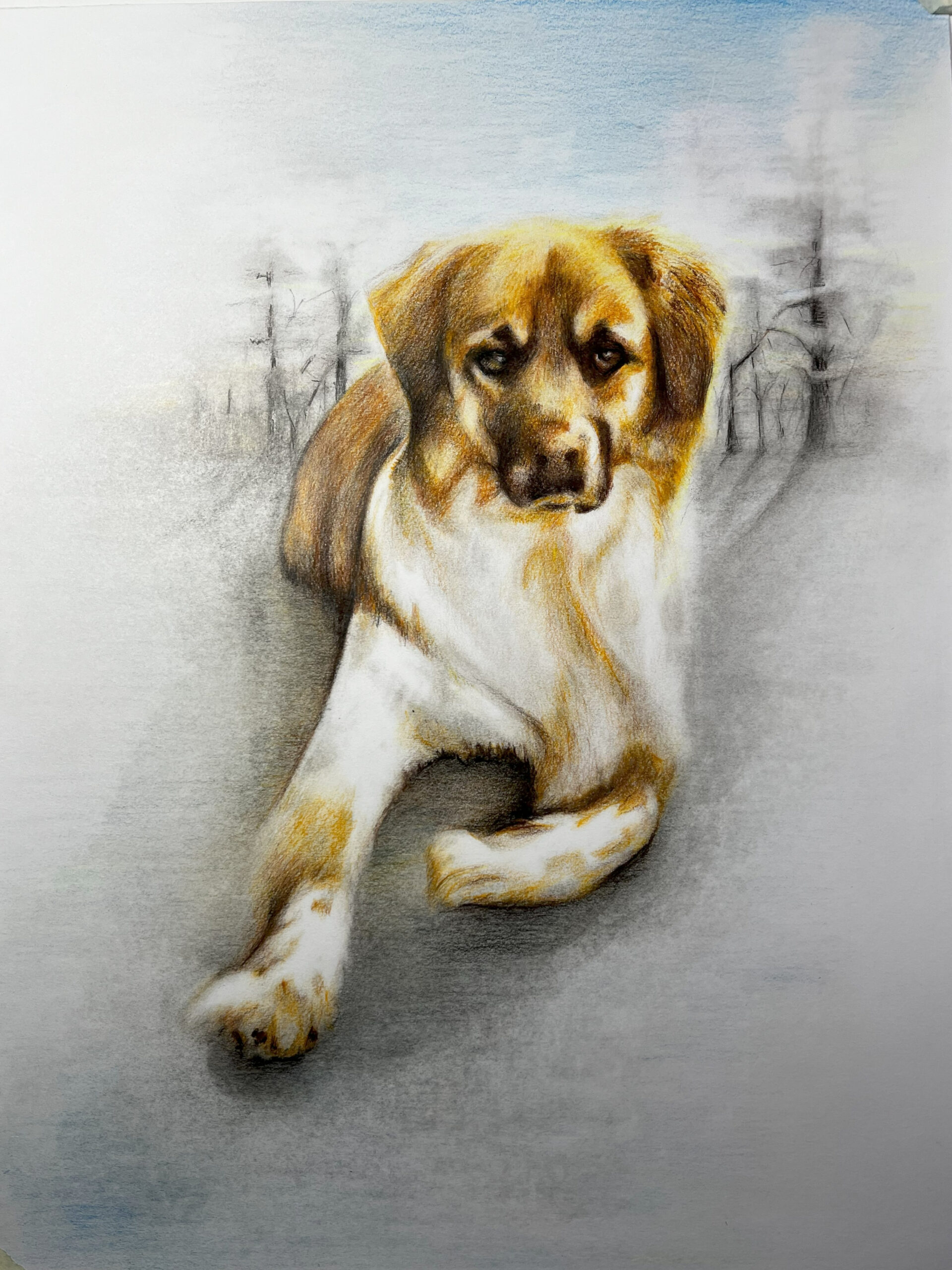 Baron