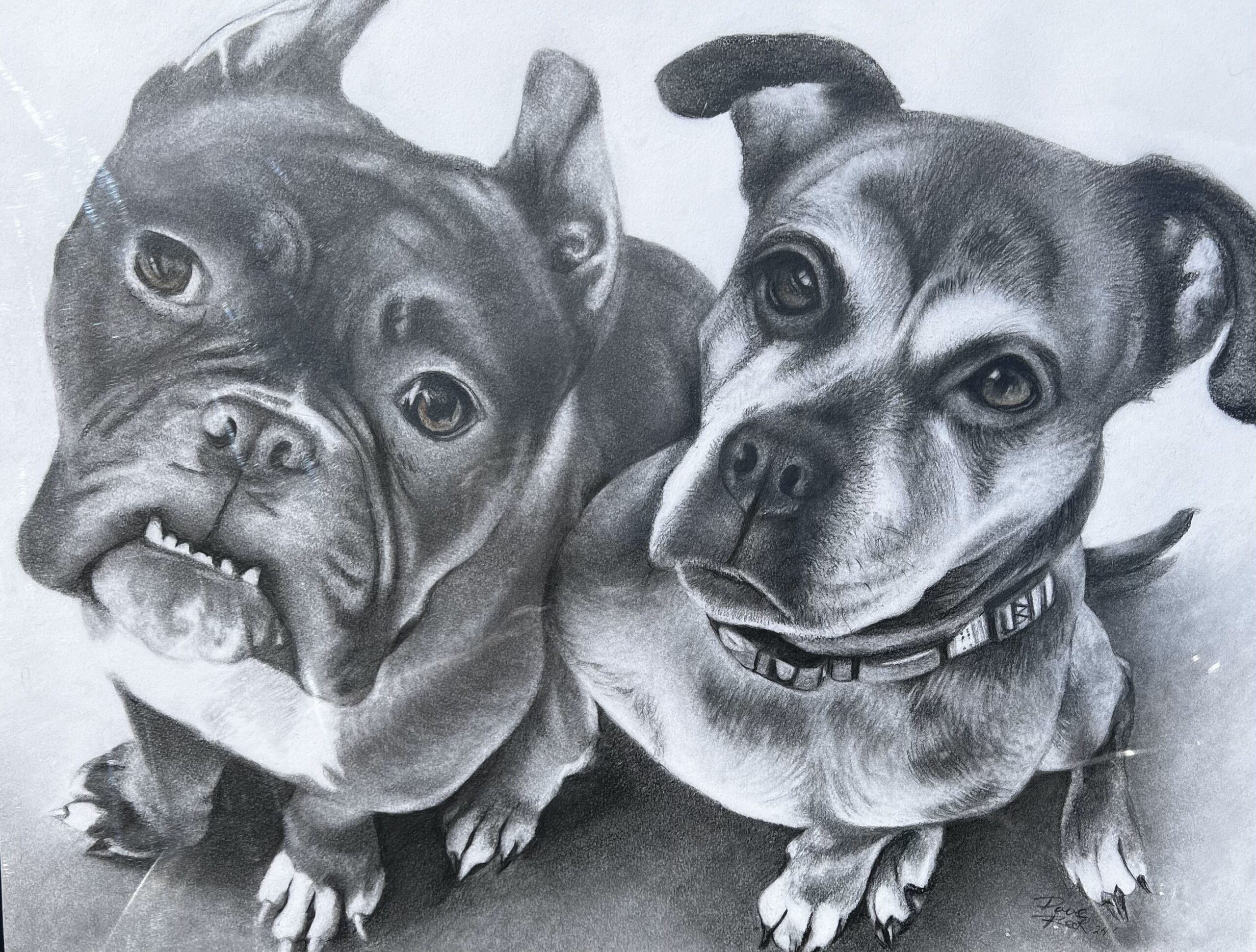 Boogie & Ellie