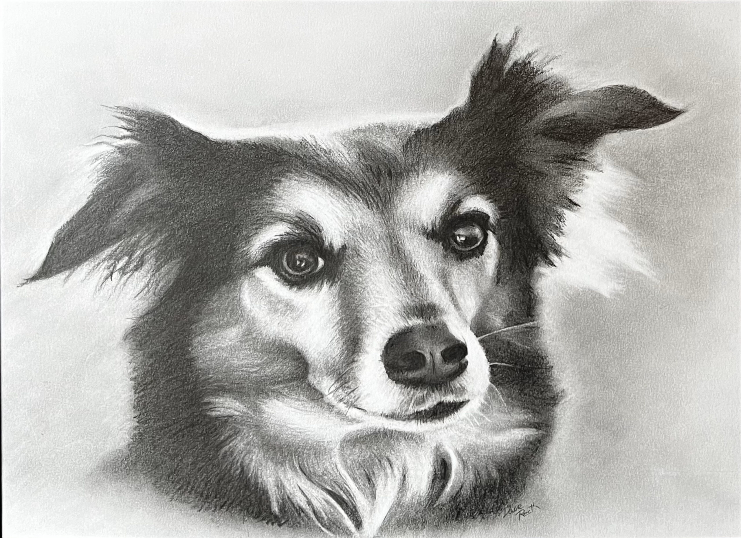 Family’s Best Friend