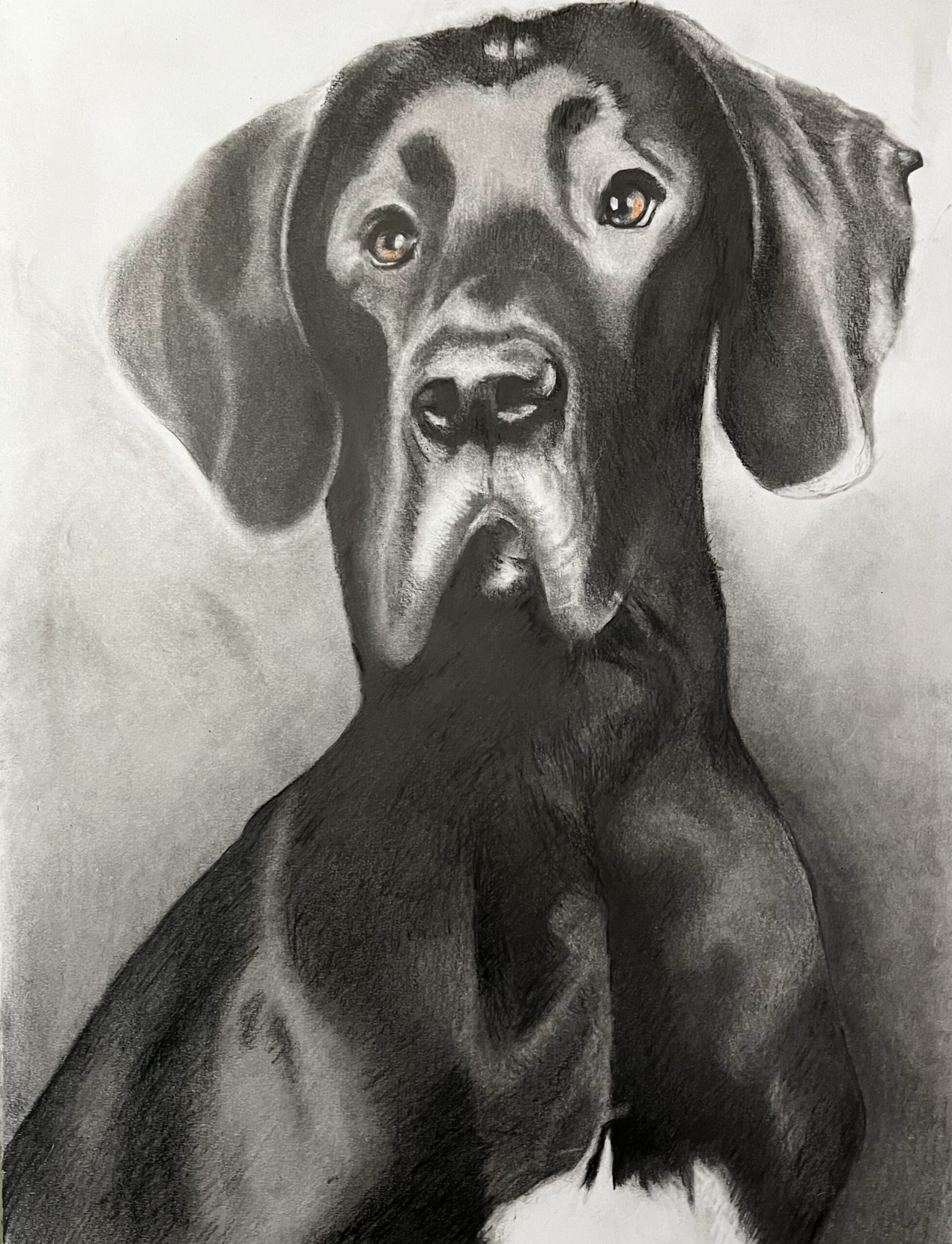 Jarvis