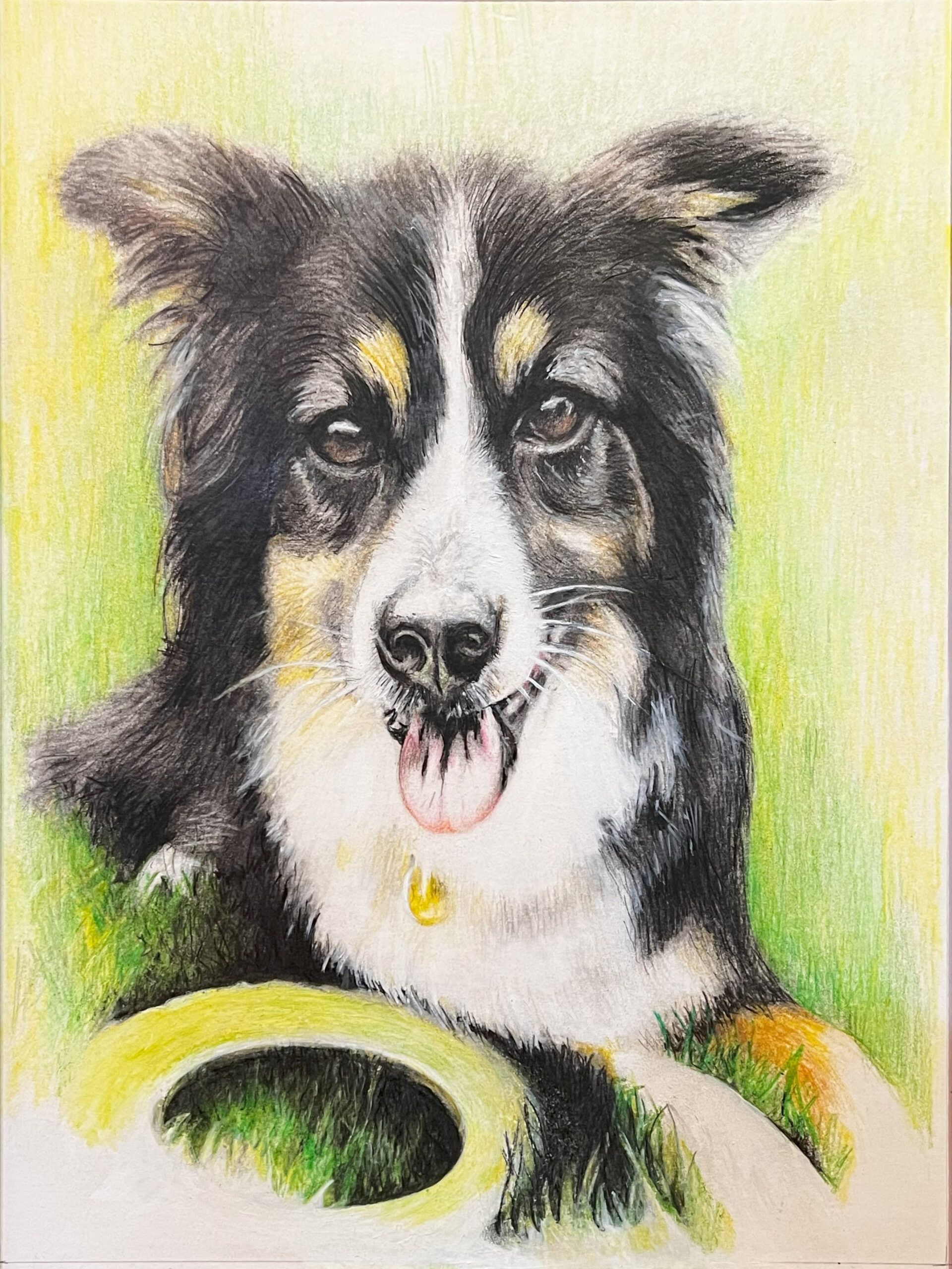 Nova