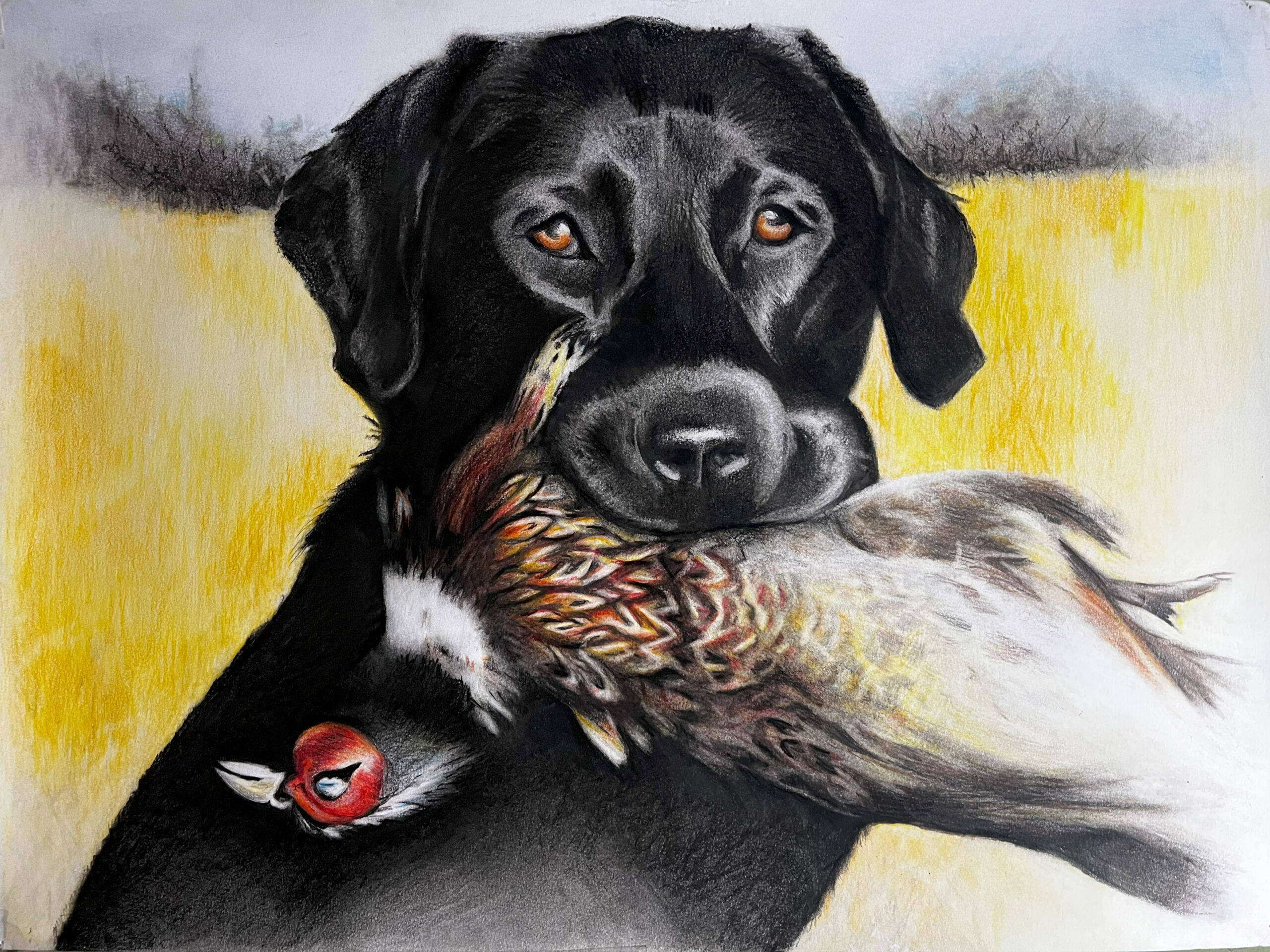 Pheasant Hunter