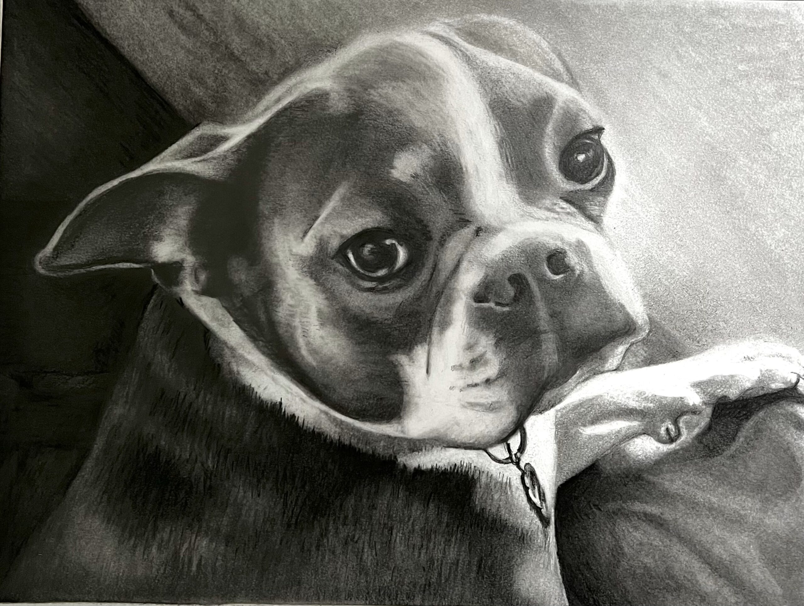 Remembering Sophie