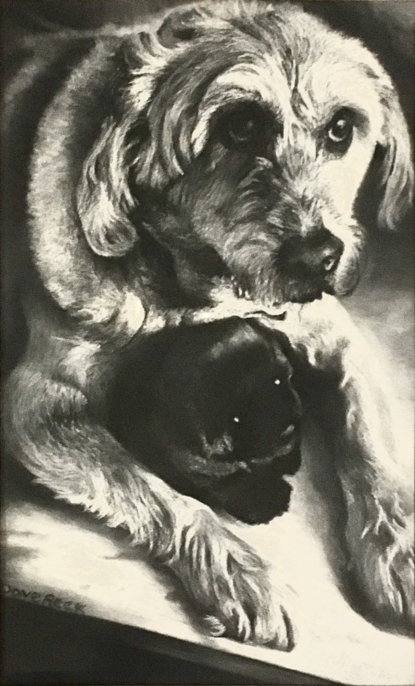 Spirit-and-Friend