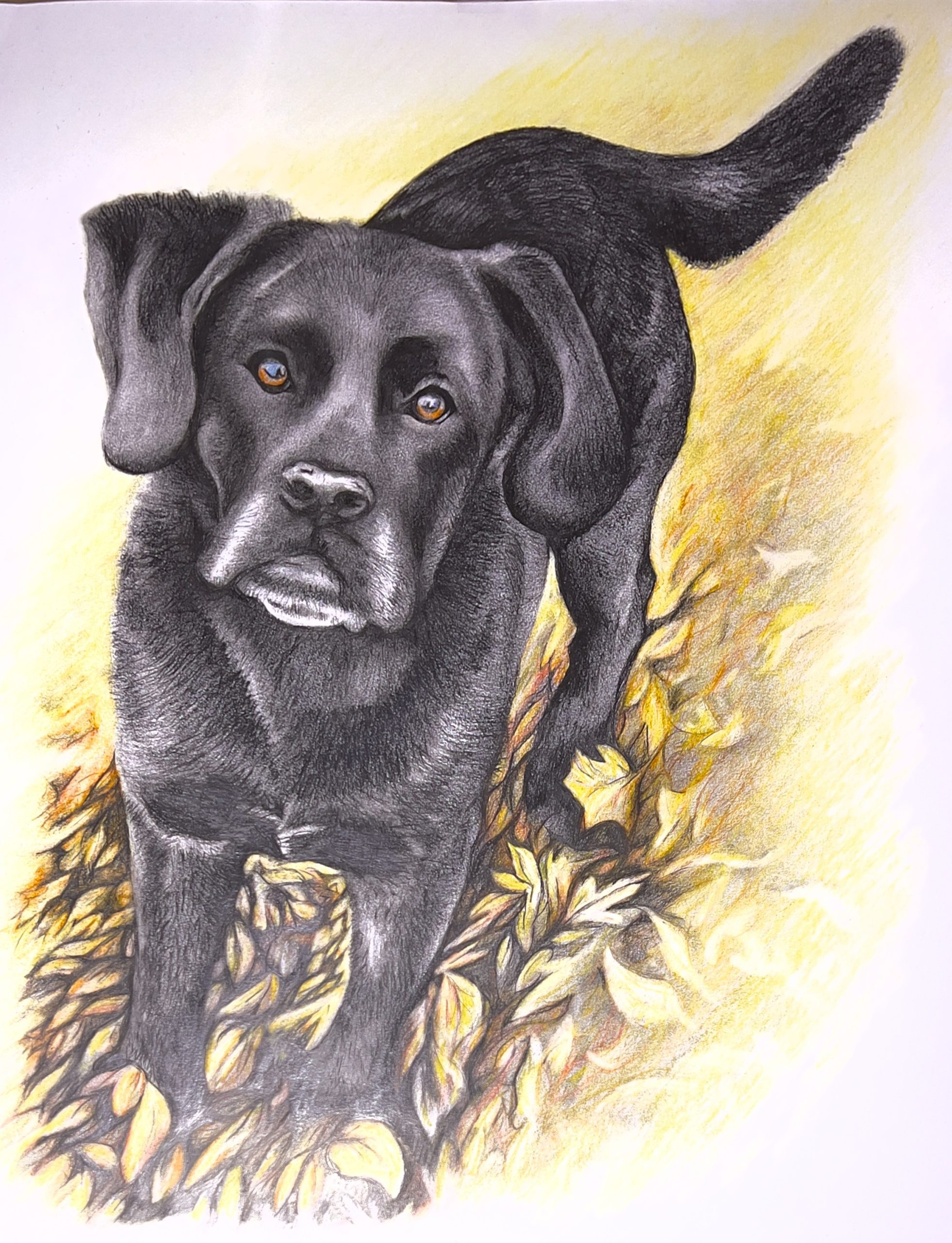 Fall Lab