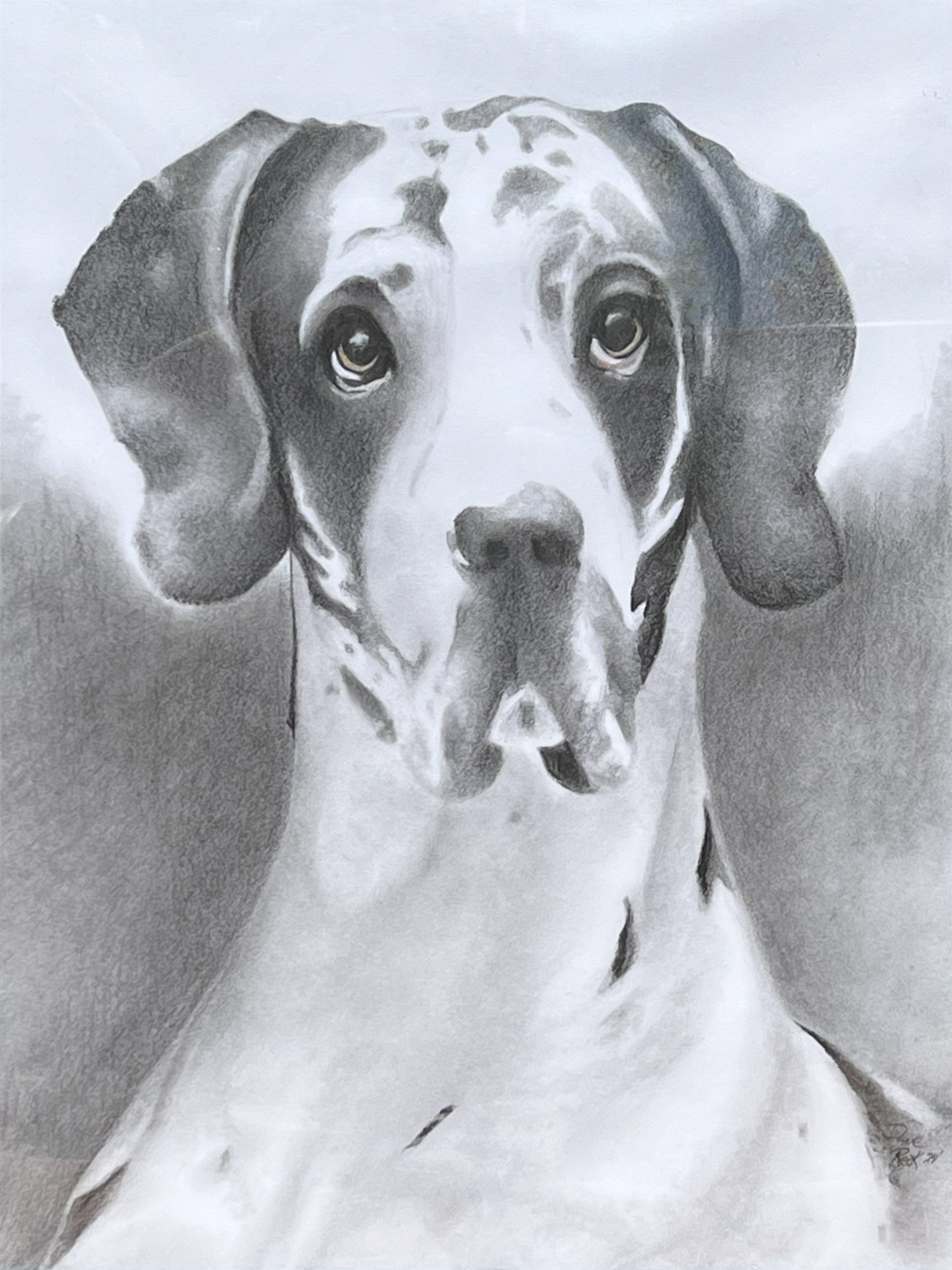 Arlo