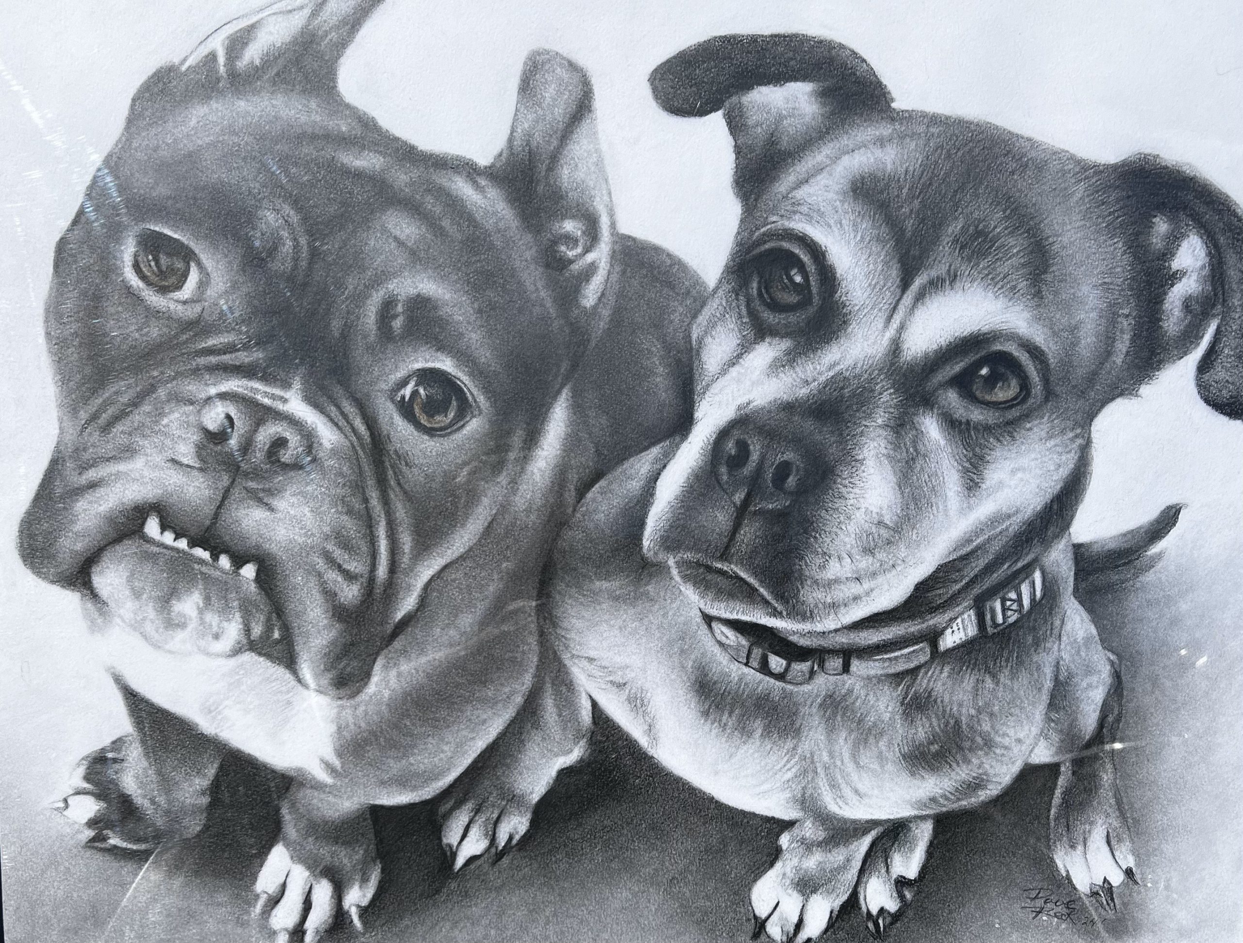 Boogie and Ellie
