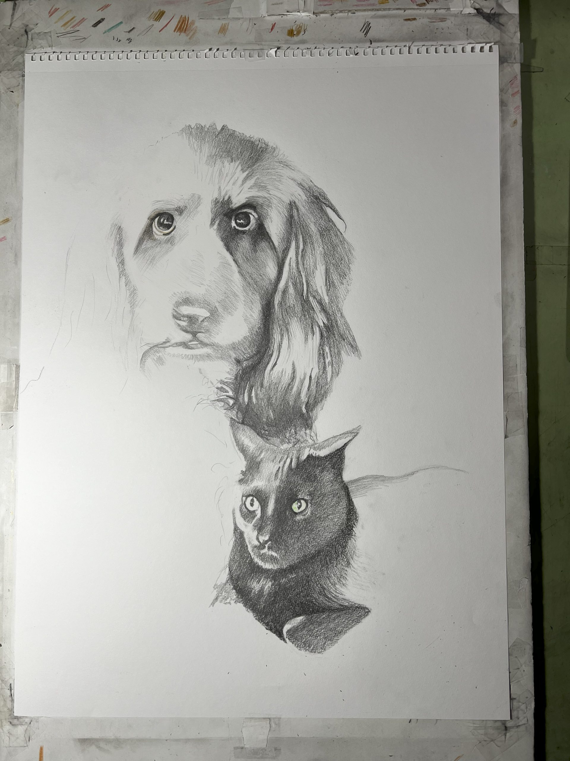 Jenny’s – Study