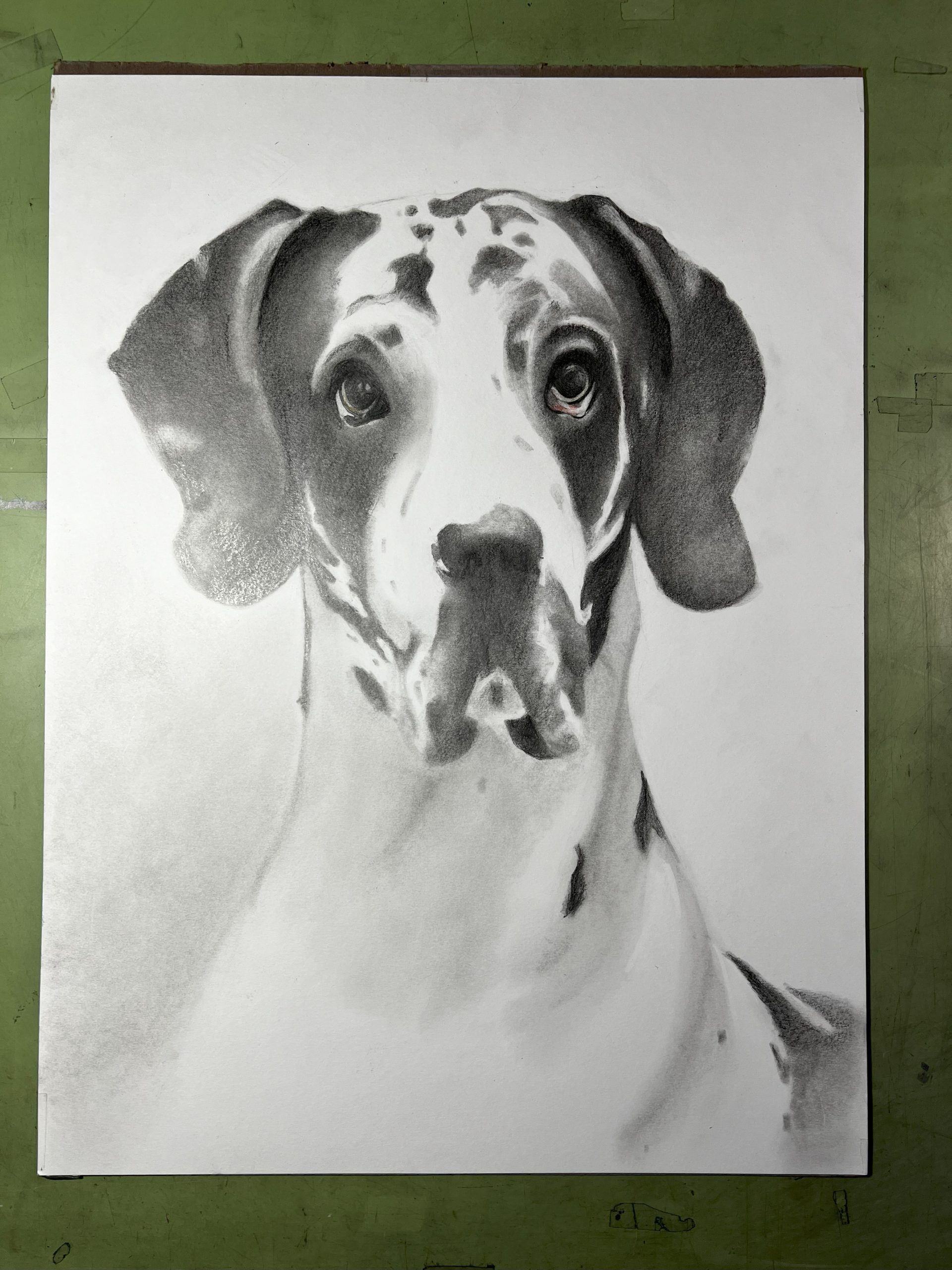 Arlo (in progress)